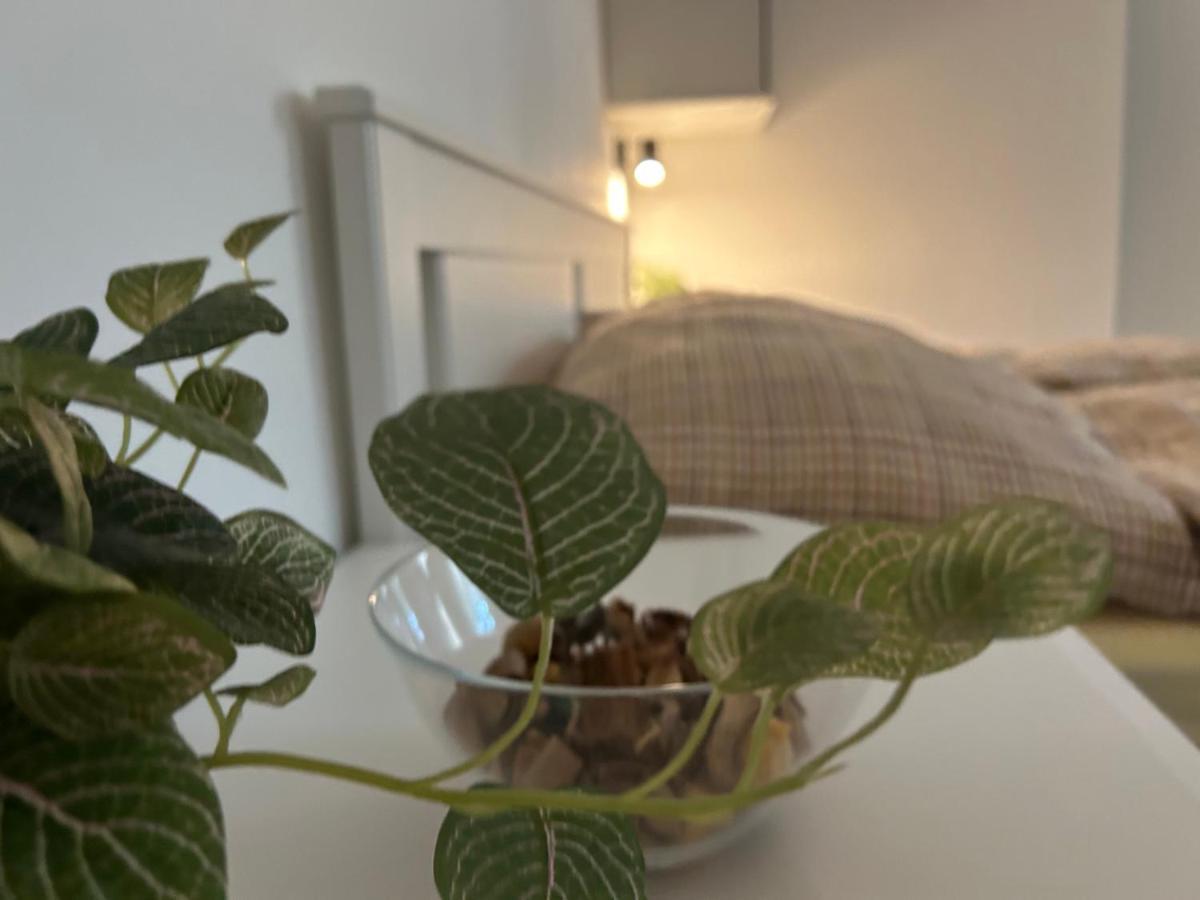 R59 Apartman With Free Parking Pecs Exterior photo